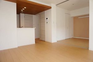 コレクトコート A0103号-2