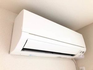 シャーメゾンアイリス 0203号-11