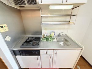 レーベンスクエア 306号-2