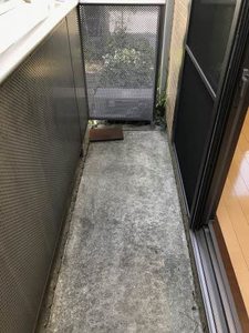 シャーメゾンらふ 101号-10