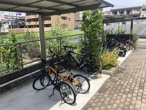 Ｂｌｏｏｍ　Ｓｔａｇｅ　天山 A0202号-4