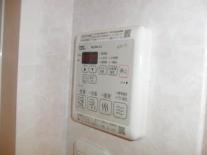 Ａｌｉｖｉｏ　Ｋ A0203号-8