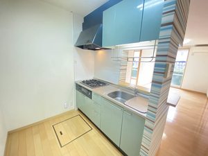 サニーベイル　１番館 A0101号-3