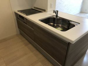 ヴィアソーレ妻鳥Ⅱ A0101号-4