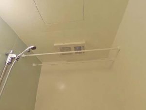 ヴィアソーレ妻鳥Ⅱ A0101号-14