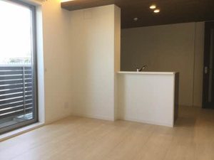 Laulea白石 A0303号-11