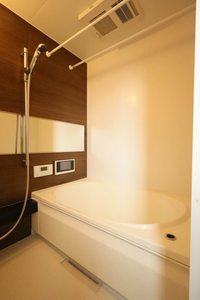 フェリシード　ピュ A0107号-9