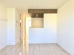 オランフェルム A0103号-9