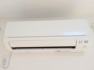 クラーション　ソフィア A0205号-10