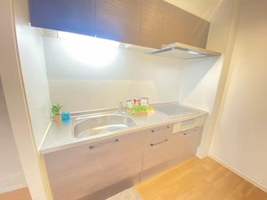 Ｕｒｂａｎ　Ｖｉｓｔａ　中央町 1005号-3