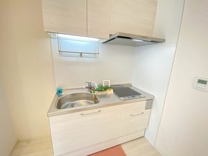 Ｕｒｂａｎ　Ｖｉｓｔａ　中央町 803号-3