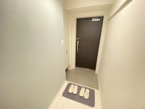 Ｕｒｂａｎ　Ｖｉｓｔａ　中央町 803号-8