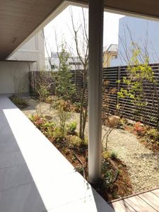 グレースセゾン　樹 A0208号-4