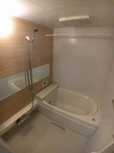 ベレオ昭和 A棟 205号-10