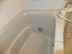 メゾン一林 A0202号-2