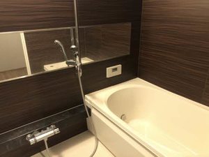 FORENA 天山 A0102号-8