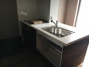 ＦＯＲＥＮＡ　天山 A0201号-3