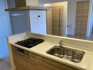 ファンコート堀越　弐番館 A0302号-11