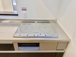 ピゴラーレⅡ B0101号-4