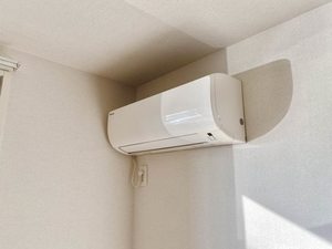 ピゴラーレⅡ B0101号-11