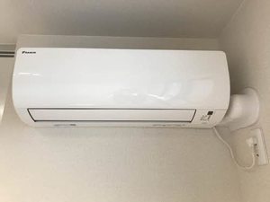 プロヌーブ沖洲　Ⅲ番館 102号-12