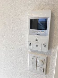 Ｂｅｌ　Ｌａｐｉｓ A0101号-7