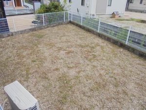 グランマスト田島　Ｃ棟 C0105号-12