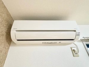 ティアラ藤 105号-9