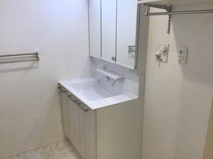 シャーメゾン　ブラウ A0202号-5