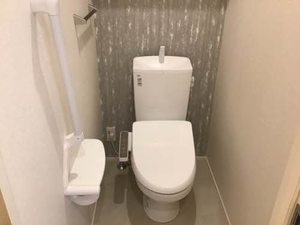 シャーメゾン　ブラウ A0202号-6