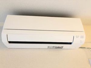 ＢＬＯＯＭ－１ A0205号-12