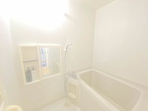 メゾン・アムール　Ａ棟 A0201号-8