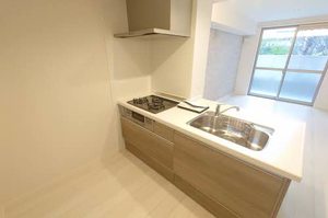 シャーメゾンファンスタ 103号-3