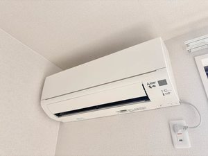 セナール　ド　ソル A0203号-11