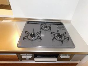 シャーメゾン東イースト A0201号-5