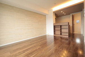 ＳｈａＭａｉｓｏｎ　β B0202号-4