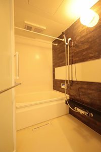 ＳｈａＭａｉｓｏｎ　β B0202号-8