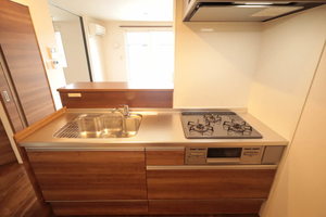 ＳｈａＭａｉｓｏｎ　β B0202号-10