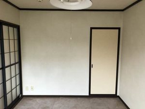 アプリコット B0103号-2