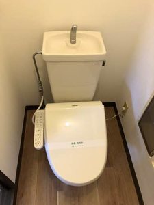 アプリコット B0103号-6