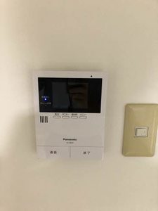 アプリコット B0103号-10