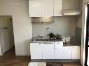 ドミール富永　Ｃ棟 C0207号-2