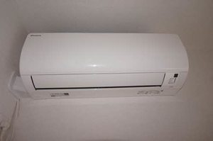 アン　フェ　ミュール A0203号-11