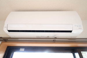 ＧＲＡＣＥエヌエス A0301号-10