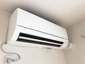 センテレオグルース A0301号-10