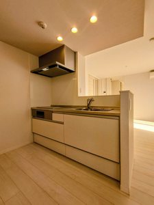 シャイン A0305号-3