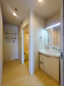 シャイン A0305号-7