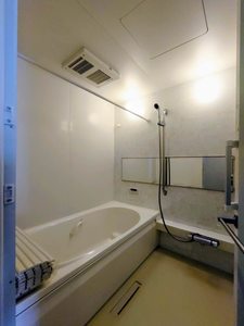 シャイン A0305号-8