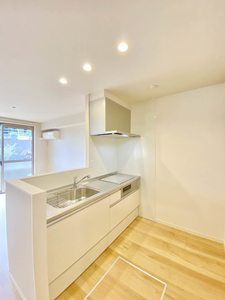 レジーナⅡ A0101号-3