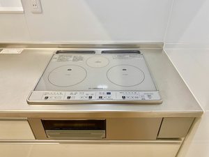 レジーナⅡ A0101号-4